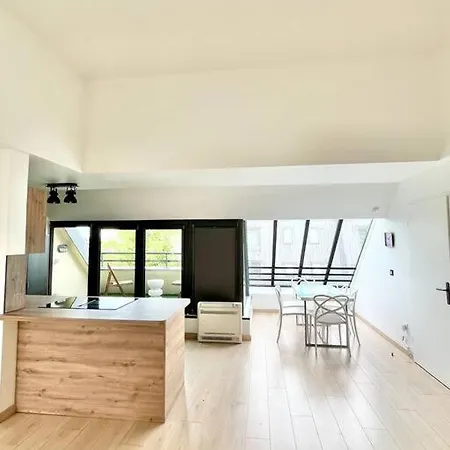 Penthouse 90m2 Terrace Parking 10m Paris Center Alfortville